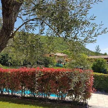 Casa Minerva Apartment Albisano Bagian luar foto